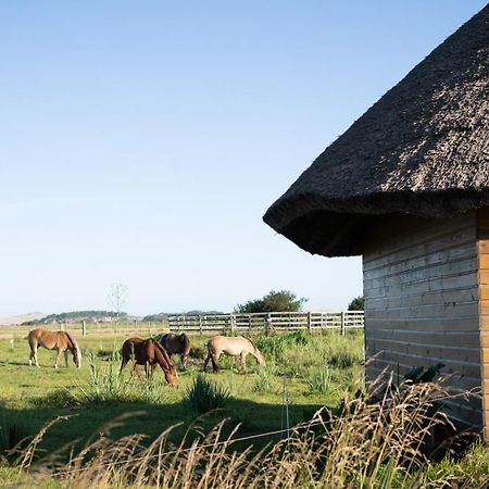 Los Chaja Ecolodge بارا دي فاليزاس المظهر الخارجي الصورة