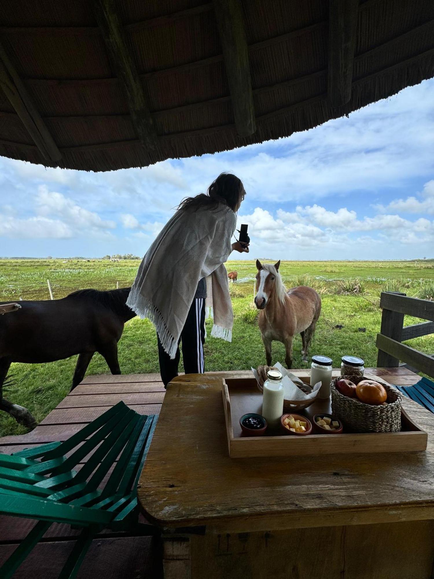 Los Chaja Ecolodge بارا دي فاليزاس المظهر الخارجي الصورة